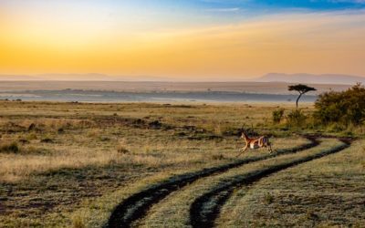 Best Walking Safaris in South Africa